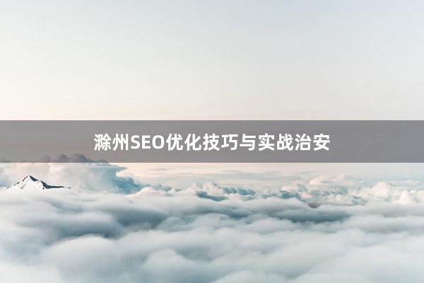 滁州SEO优化技巧与实战治安