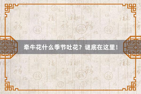牵牛花什么季节吐花？谜底在这里！